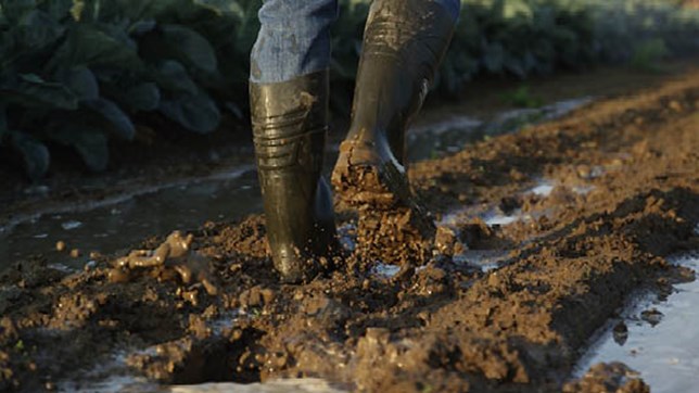 sector slider agriculture - StepliteX Solidgrip